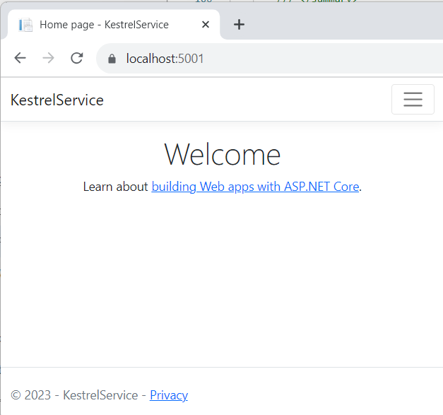 Home page of the web service accessed from chrome